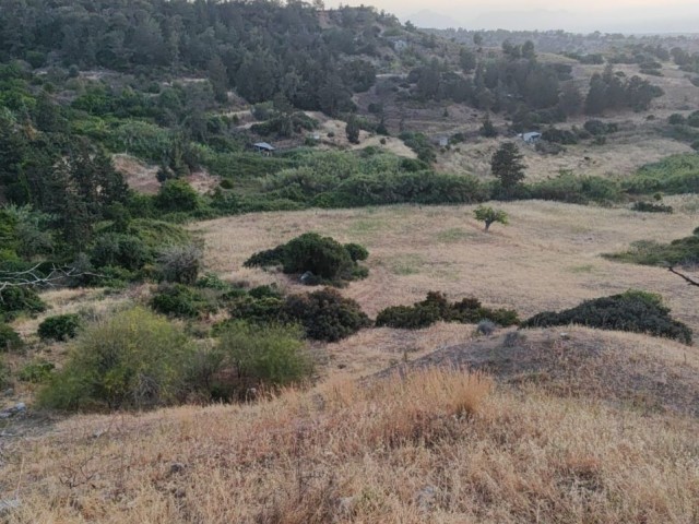 2 acres of land open to development for urgent sale in Kyrenia Esentepe.