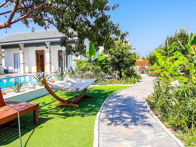 Luxury Villas In Yesiltepe