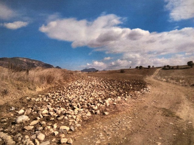 Field on Şirinevler Nomadic Highway