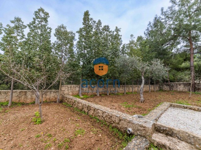 Peace and Quiet In The Forest With Sea and Mountain Views.