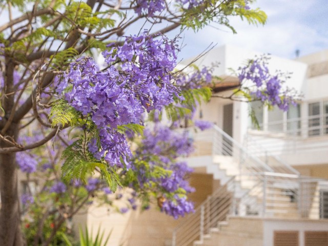 Perfekt präsentiertes Penthouse mit 2 Schlafzimmern und privater Dachterrasse in Esentepe