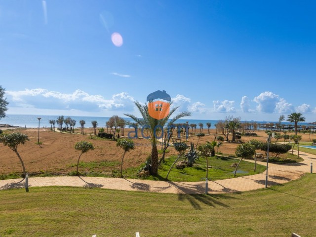 Откройте для себя приморский мир в курортном отеле Thalassa Beach Resort