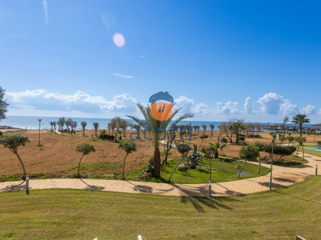 Thalassa Beach Resort'ta Deniz Kıyısındaki Huzuru Keşfedin