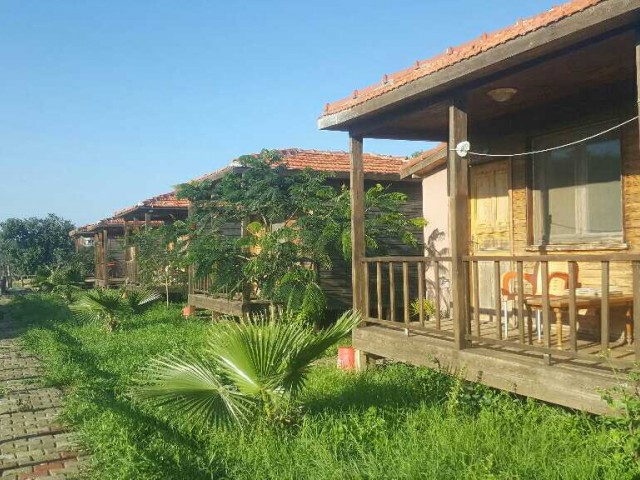 Karpazda tatil yapmak isteyenler icin ahsap bungalov odalarimiz das odalarimiz mevcutyur 