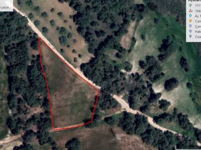 Grundstück zum Verkauf in Kyrenia Camlibel mit 5 Hektar Bebauungsplan