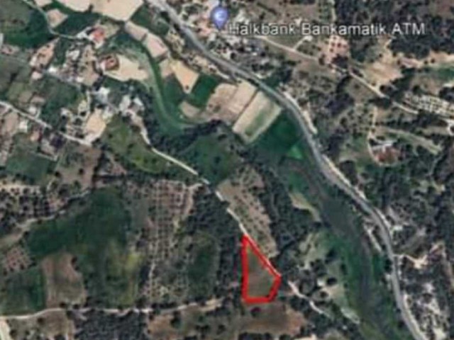 Land for sale in Kyrenia Camlibel with 5 acres development plan