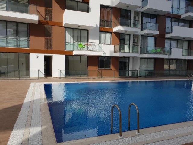 1+0-Pool auf dem am schnellsten vermieteten Grundstück in Famagusta und ideal für Investitionen