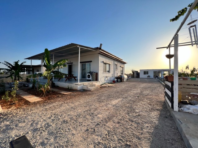 Neubau-Einfamilienhaus zur Miete in Iskele Border