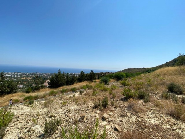 Large plots of land for sale with views of the mountains and Dec sea, intertwined with nature. ** 