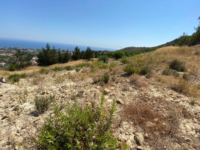 Doğayla İçiçe, dağ ve deniz manzaralı satılık büyük arsalar.