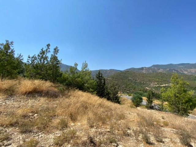 Large plots of land for sale with views of the mountains and Dec sea, intertwined with nature. ** 