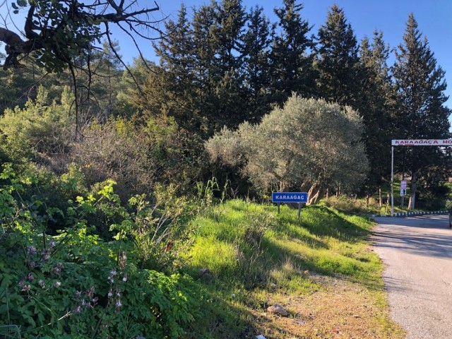 A 5.5-decare investment land with a zoning permit located between Pine Trees, with a mountain view and intertwined with a mountain, as well as just outside the village ** 