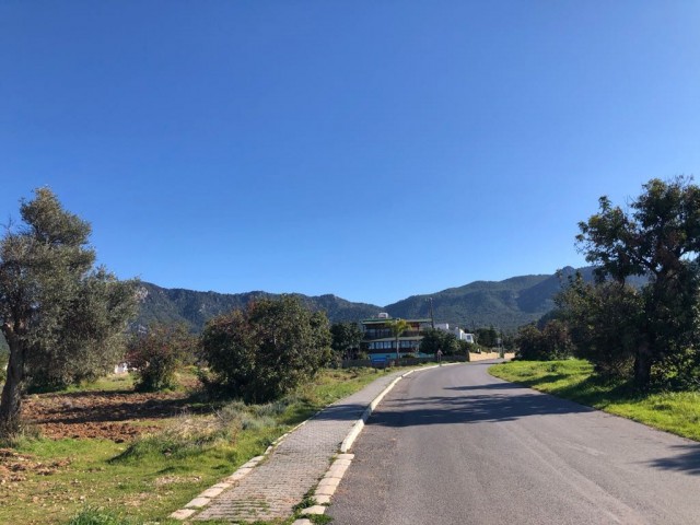 5,5 Hektar investitionsgrundstück mit zonengenehmigung, das sich direkt am Ausgang des Dorfes befindet, mit Blick auf die Berge, zwischen Pinien und mit dem Berg verflochten ** 