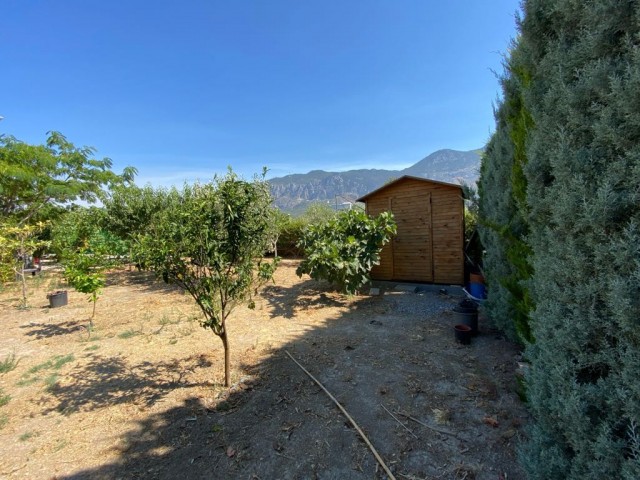 200 m vom Meer entfernt Große 3-Schlafzimmer-Villa zum Verkauf auf einem 900m2 großen Grundstück mit Weingarten ** 