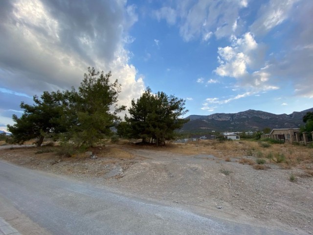 Located in the most prestigious area of Beylerbeyi, on a medium slope, with a view for sale, 4 donum land ** 