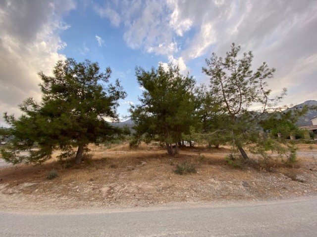 Located in the most prestigious area of Beylerbeyi, on a medium slope, with a view for sale, 4 donum land ** 