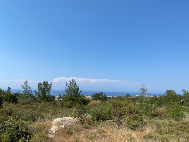 12.5 Donum land for sale for investment with non-closing views in Alsancak ** 