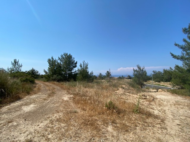 12.5 Donum land for sale for investment with non-closing views in Alsancak ** 