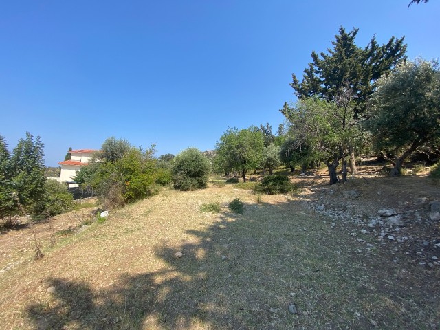 2.5 Donum land for sale with a view to Lapta Başpınar ** 