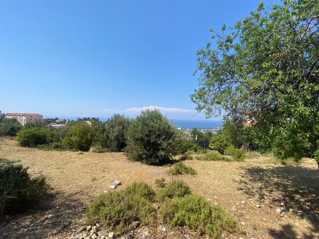 2.5 Donum land for sale with a view to Lapta Başpınar ** 