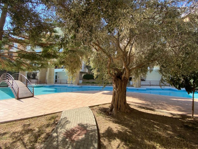 The 3-Bedroom Piabella Hotel in the Center of Kyrenia is walking distance to the new Shopping Center behind the den!, Our Apartment with 3 large shared Pools ** 