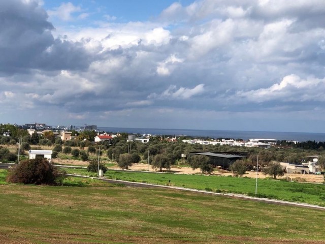 Unsere gleichwertigen und türkischen Eigentumsgrundstücke zum Verkauf in Ozanköy, Girne