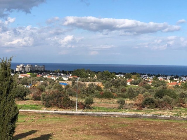 Unsere gleichwertigen und türkischen Eigentumsgrundstücke zum Verkauf in Ozanköy, Girne