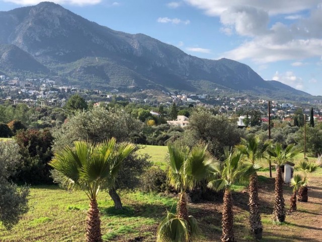 Unsere gleichwertigen und türkischen Eigentumsgrundstücke zum Verkauf in Ozanköy, Girne