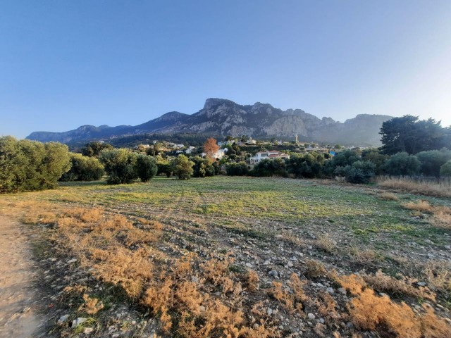 1 DONE 1 EVLEK land for sale in Karşıyaka, Kyrenia