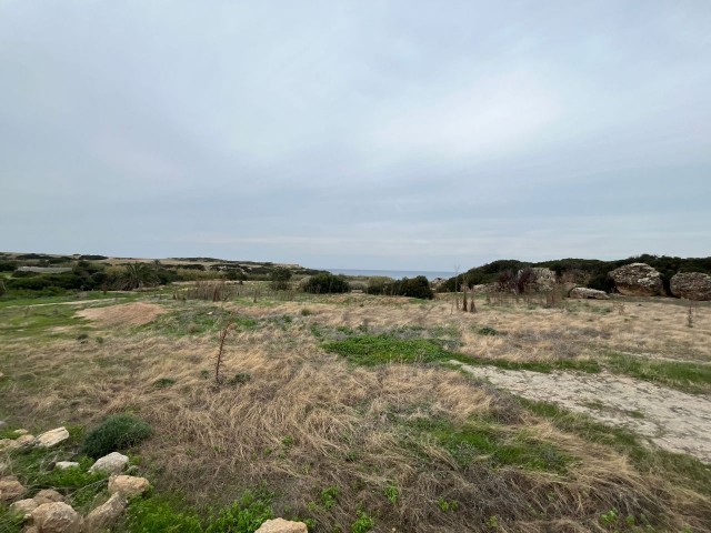 14 Hektar Land zum Verkauf am Meer in Tatlısu