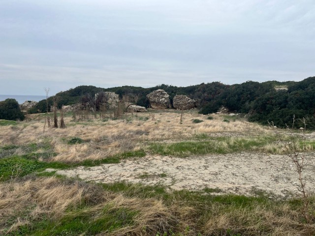 14 Hektar Land zum Verkauf am Meer in Tatlısu