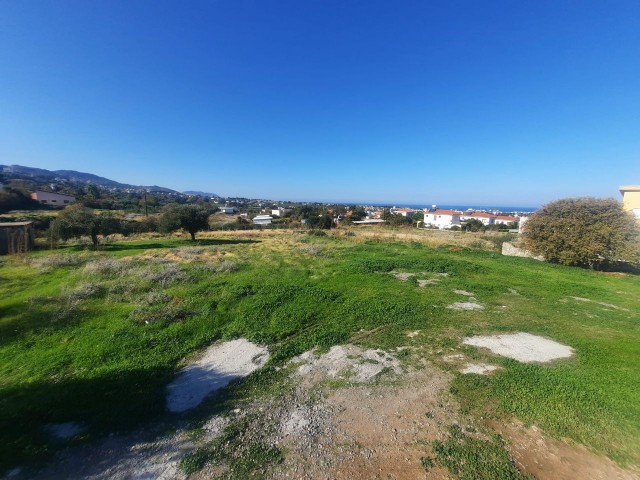 A magnificent 6 decare land with TURKISH COB in Lapta!! 105,000 STG ACCOUNTS!!