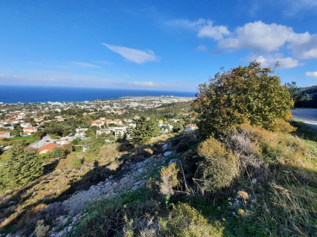 A magnificent land with a full view at the top of Kyrenia LAPTA, 4 decares with high zoning