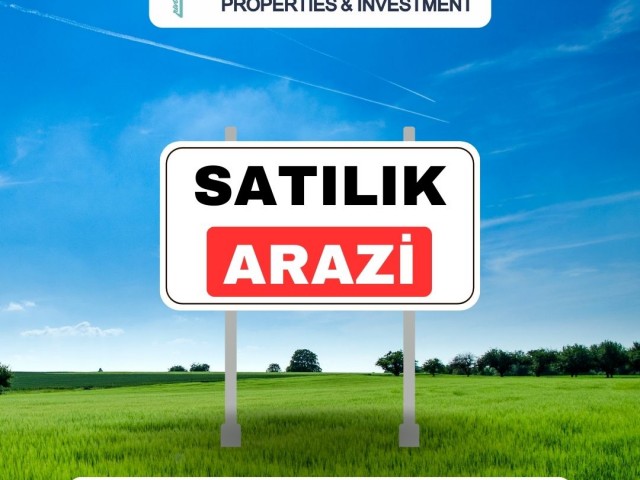 79 decares of bargain land next to the main road for sale in Bafra tourism region