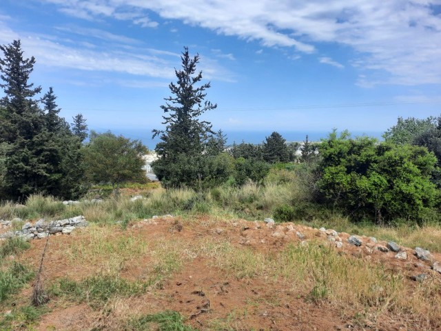 The only land with passage permit in the region at the top of Lapta with full sea view TÜRK KOÇANLI land for sale 1807m2