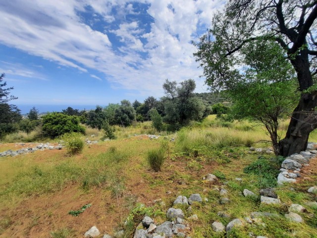 The only land with passage permit in the region at the top of Lapta with full sea view TÜRK KOÇANLI land for sale 1807m2