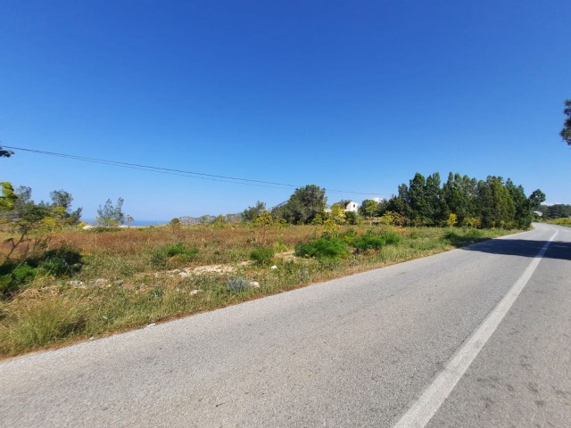 3 Dekaden Land zum Verkauf in der blauen Villa Tepebaşı mit freiem Meerblick TÜRK KOÇANLI