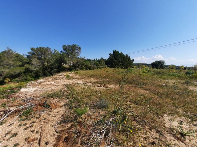 3 Dekaden Land zum Verkauf in der blauen Villa Tepebaşı mit freiem Meerblick TÜRK KOÇANLI