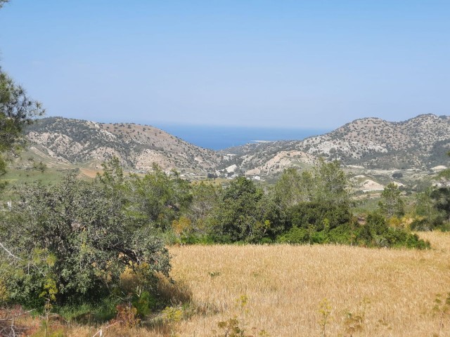 3 Dekaden Land zum Verkauf in der blauen Villa Tepebaşı mit freiem Meerblick TÜRK KOÇANLI