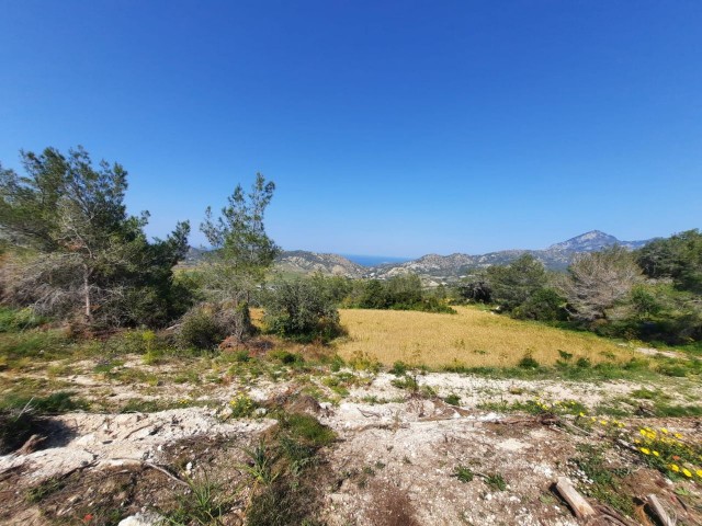 3 Dekaden Land zum Verkauf in der blauen Villa Tepebaşı mit freiem Meerblick TÜRK KOÇANLI