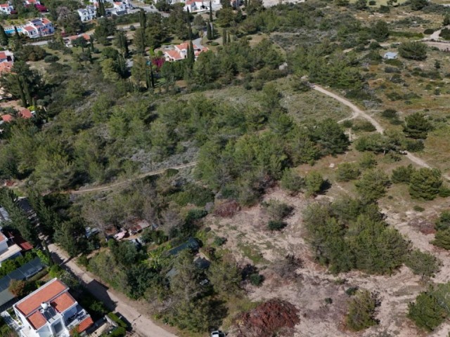 Çatalköy has a unique land infrastructure with full mountain and sea views.