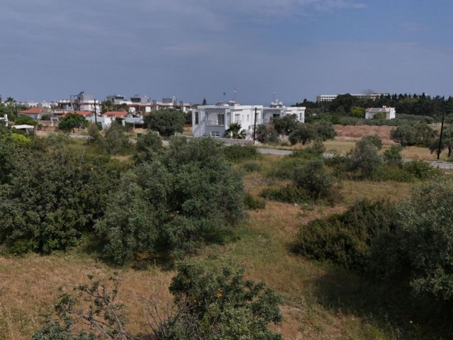 1 decare of land for sale in a central location, 500 meters from the sea in Çatalköy