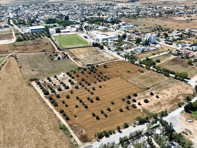 9 Hektar Land zum Verkauf im Zentrum von Iskele, nur wenige Gehminuten von Schulen und Hochschulen entfernt