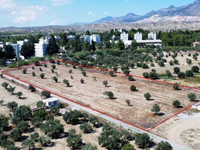 Land for Sale in Minareliköy Region