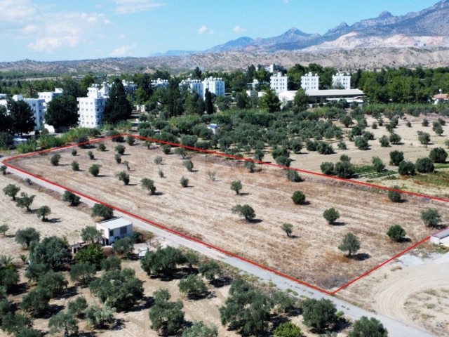 LAND FOR SALE IN MİNERALİKÖY