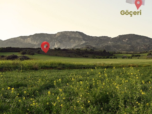 Investment Opportunity Field in Kyrenia Nomad Region!