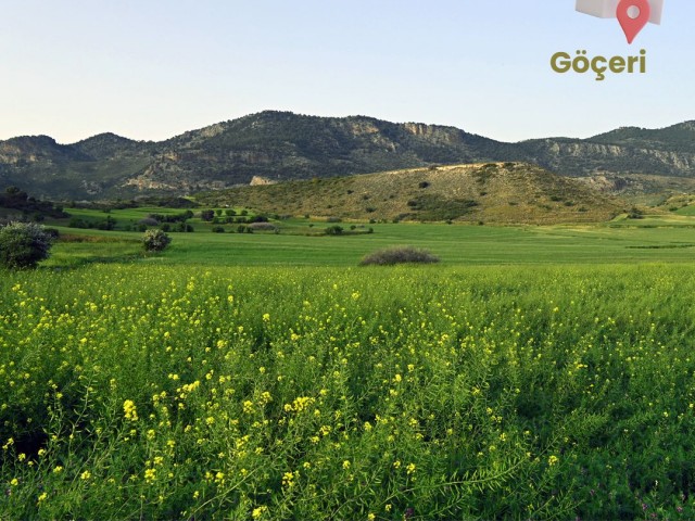 Girne Göçeri Bölgesinde Yatırımlık Fırsat Tarla!