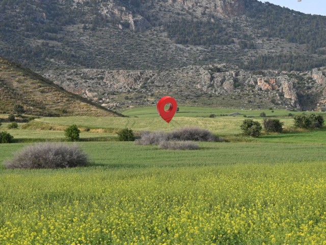 Girne Göçeri Bölgesinde Yatırımlık Fırsat Tarla!