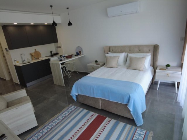 Fully Furnished Luxury Studio Flat for Sale in Courtyard!