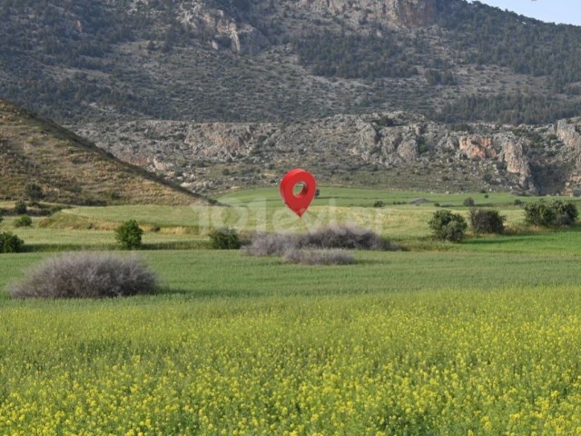 زمینه فرصت سرمایه گذاری در گوچری